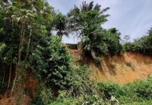 Homo sapiens освоили тропические леса на 130 тысяч лет раньше osvoili tropicheskie lesa na 130 tysyach let ranshe-todey-ru-174068445300-0