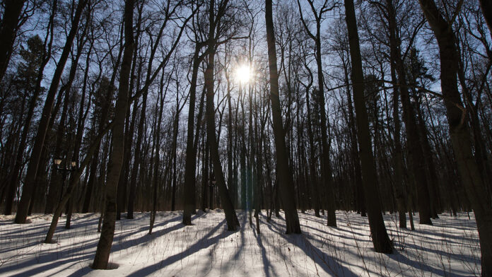 Парк ЦарицыноОрехово-Борисово Сев