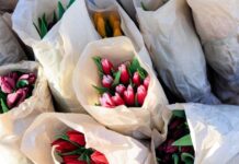 Во Владивостоке стартует праздничная торговля цветами в 26 автолавках vo vladivostoke startuet prazdnichnaya torgovlya czvetami v 26 avtolavkah-todey-ru-174065992900-0