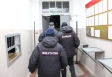 Законность и порядок: в Приморье завершена процедура депортации zakonnost i poryadok v primore zavershena proczedura deportaczii-todey-ru-174067303900-0