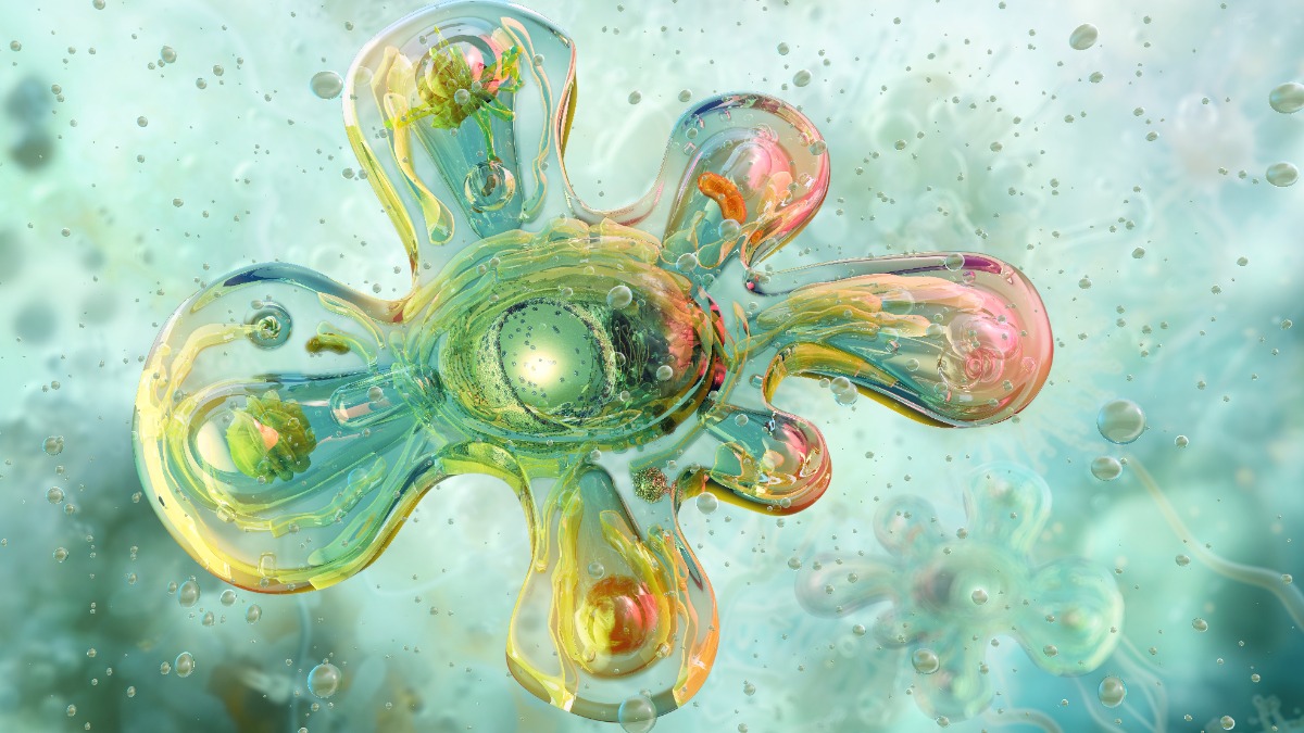 Годовалый ребенок умер из-за пожирающей мозг амебы после посещения аквапарка