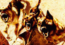 deputat o napadeniyah sobak regiony vprave reshat s uchyotom obstanovki-todey-ru-174109033800-0