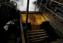 Динамика рынка пальмового масла открывает новые перспективы dinamika rynka palmovogo masla otkryvaet novye perspektivy-todey-ru-174158559900-0