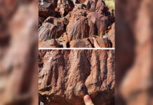 Древнейший метеоритный кратер в Австралии открывает новые горизонты в изучении жизни на Земле drevnejshij meteoritnyj krater v avstralii otkryvaet novye gorizonty v izuchenii zhizni na zemle-todey-ru-174129231000-0