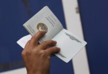 Эффективная работа пограничников защищает границы Приморья effektivnaya rabota pogranichnikov zashhishhaet graniczy primorya-todey-ru-174172968700-0