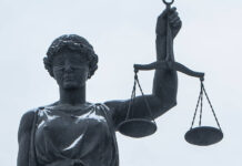 Гендиректор АО «ЭКО-Комплекс» Виктор Карл из Барнаула приговорен к 6 годам за растрату 202 млн gendirektor ao ekokompleks viktor karl iz barnaula prigovoren k 6 godam za rastratu 202 mln-todey-ru-174279967800-0