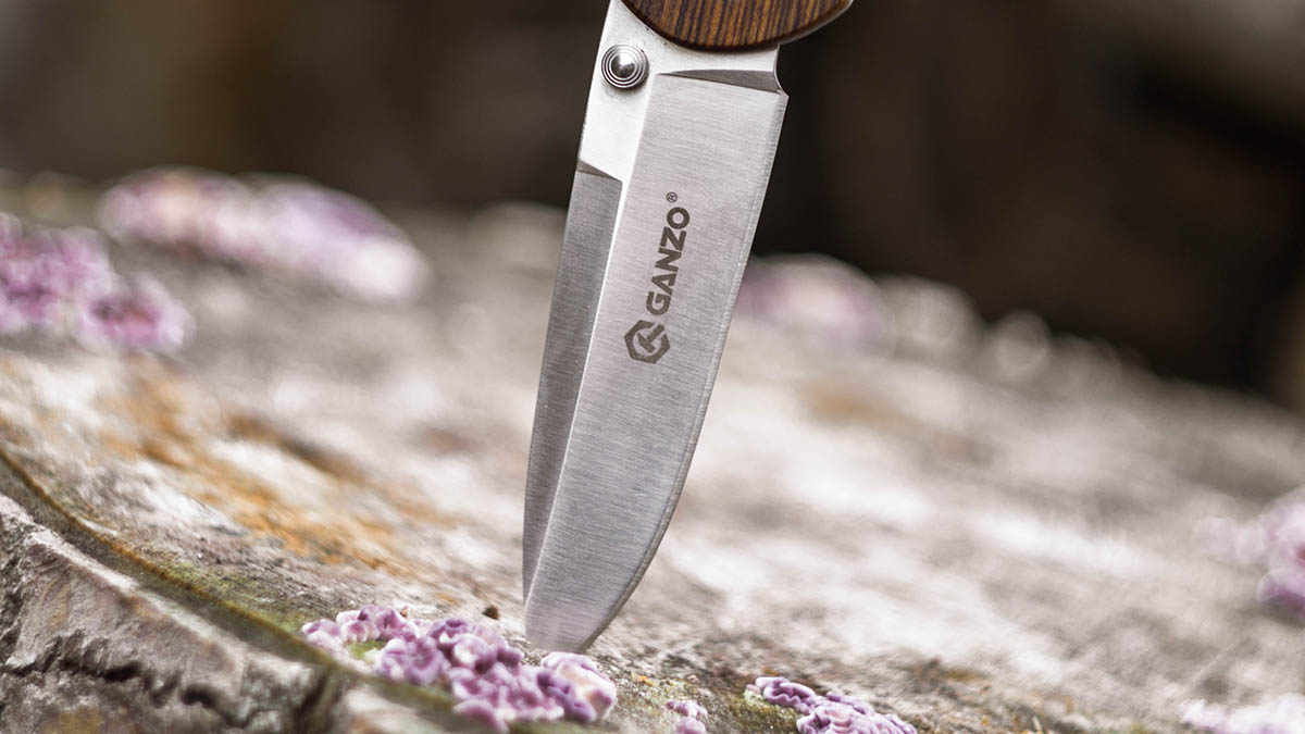 Напавший на прохожих с ножом в Амстердаме является гражданином Украины