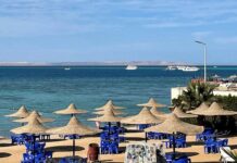 kristina valiullina iz hurgady zhiva i bezopasna nesmotrya na oshibochnye dannye-todey-ru-174309429600-0