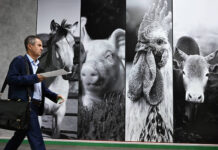 Новые стратегии Эконива и Черкизово в развитии кадрового потенциала novye strategii ekoniva i cherkizovo v razvitii kadrovogo potencziala-todey-ru-174297861500-0