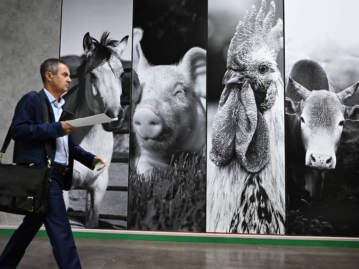 Новые стратегии Эконива и Черкизово в развитии кадрового потенциала-0