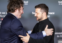 prezident argentiny ster vse sledy obshheniya s zelenskim-todey-ru-174115582800-0