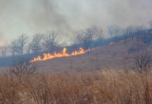 Приморье активно борется с пожарными рисками в Хасанском и Хорольском районах primore aktivno boretsya s pozharnymi riskami v hasanskom i horolskom rajonah-todey-ru-174283460000-0