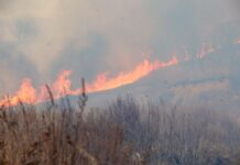 Приморье демонстрирует оперативность в борьбе с природными возгораниями primore demonstriruet operativnost v borbe s prirodnymi vozgoraniyami-todey-ru-174102236800-0