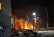 Прокуратура Надеждинского района контролирует ситуацию после возгорания возле школы в Вольно-Надеждинском prokuratura nadezhdinskogo rajona kontroliruet situacziyu posle vozgoraniya vozle shkoly v volnonadezhdinskom-todey-ru-174115992800-0