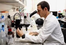 proryv v borbe s onkologicheskimi zabolevaniyami-todey-ru-174175690000-0