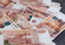 Семейный подряд в Приморье: как фермерские гранты стали поводом для судебного разбирательства semejnyj podryad v primore kak fermerskie granty stali povodom dlya sudebnogo razbiratelstva-todey-ru-174173070500-0