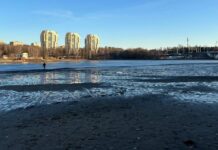 Следственный комитет возбудил уголовное дело после трагедии на реке Химка sledstvennyj komitet vozbudil ugolovnoe delo posle tragedii na reke himka-todey-ru-174145179600-0