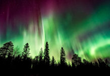 Солнечная активность подарит Москве редкие северные сияния по прогнозам Сергея Богачева solnechnaya aktivnost podarit moskve redkie severnye siyaniya po prognozam sergeya bogacheva-todey-ru-174265907700-0