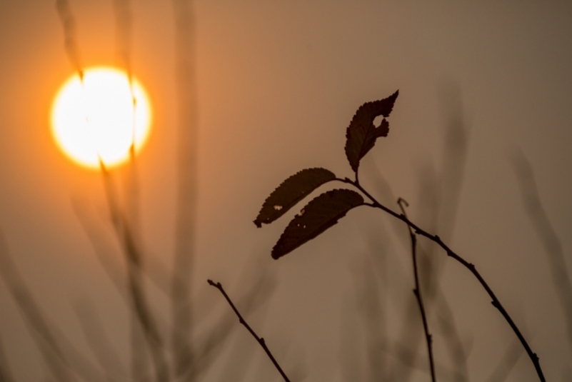 Фото: primamedia.ru