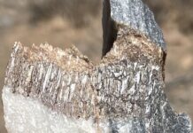 Уникальные следы древней жизни обнаружены в пустынях Намибии, Омана и Саудовской Аравии unikalnye sledy drevnej zhizni obnaruzheny v pustynyah namibii omana i saudovskoj aravii-todey-ru-174255878000-0