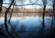 Весеннее половодье наполняет реки России от Ленинградской области до Хакасии vesennee polovode napolnyaet reki rossii ot leningradskoj oblasti do hakasii-todey-ru-174222517600-0