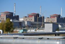 viktoriya grib postavila pod somnenie peregovory ssha i rossii o zaes-todey-ru-174227803100-0