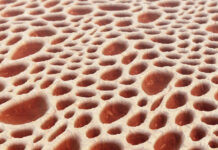 za 10 let prikame podarilo nadezhdu 7000 donorov kostnogo mozga blagodarya fondu dedmorozim-todey-ru-174248299800-0