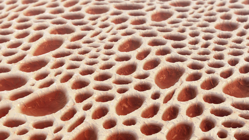 В Прикамье более 7000 жителей стали донорами костного мозга за 10 лет