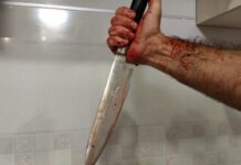 Житель Партизанска задержан после конфликта с применением ножа в Приморье zhitel partizanska zaderzhan posle konflikta s primeneniem nozha v primore-todey-ru-174296875000-0