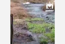 Жители Славинска в Калининградской области надеются на решение проблемы с канализацией zhiteli slavinska v kaliningradskoj oblasti nadeyutsya na reshenie problemy s kanalizacziej-todey-ru-174230753500-0