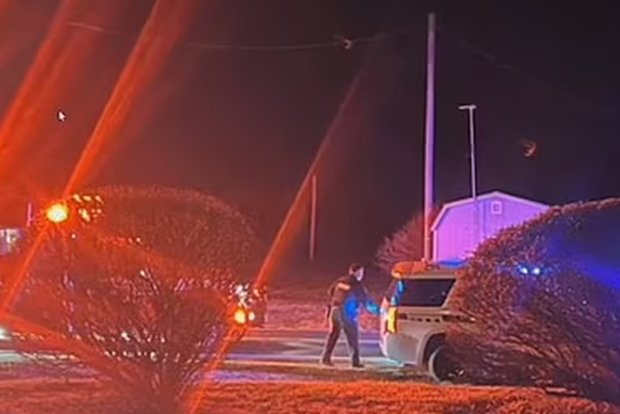 Вводная картинка