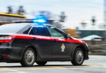 aleksandr bastrykin i vadim vashhenko novye povoroty v delah-todey-ru-174499537300-0