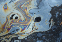 Александр Кащук и Холмский порт оперативно ответили на разлив нефтепродуктов aleksandr kashhuk i holmskij port operativno otvetili na razliv nefteproduktov-todey-ru-174513846900-0