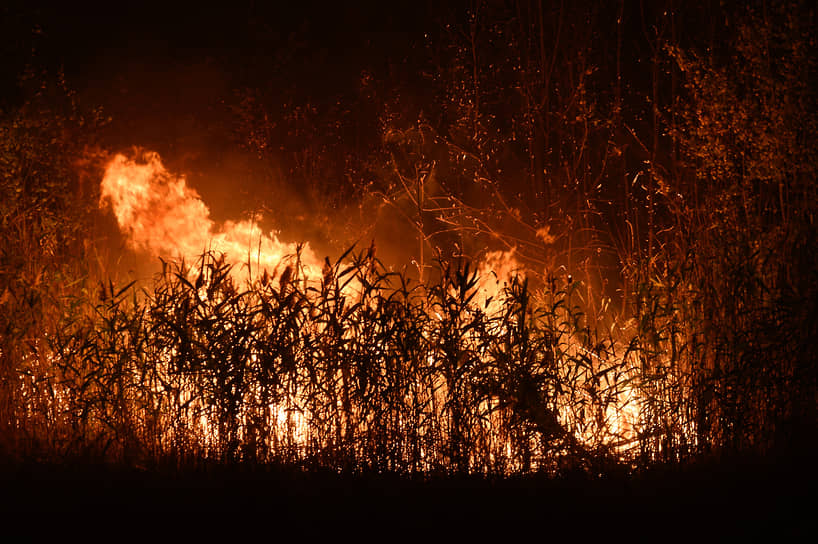 Александр Осипов и ФБУ «Авиалесоохрана» объединяют усилия для защиты лесов Забайкалья-0