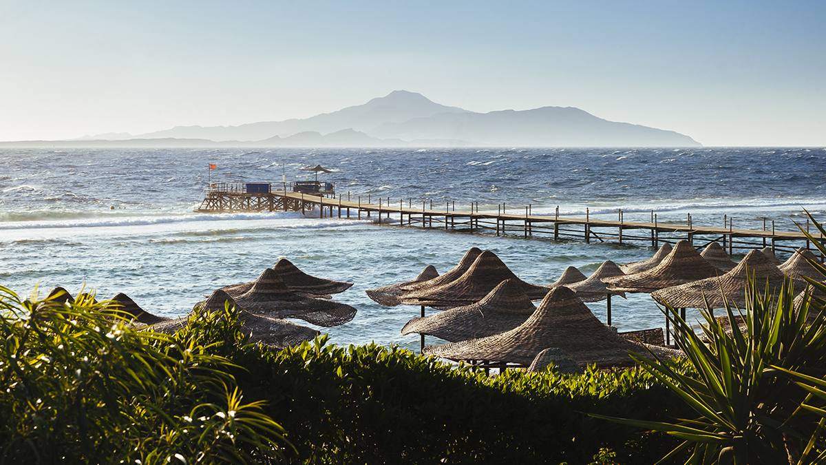 Shot: Сотни россиян переселили в другой отель в Египте из-за антисанитарии