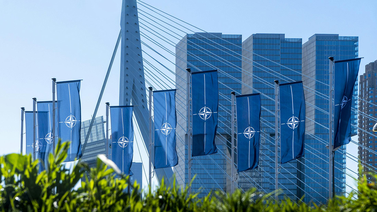 NYT: Следующая администрация США может поддержать членство Украины в НАТО