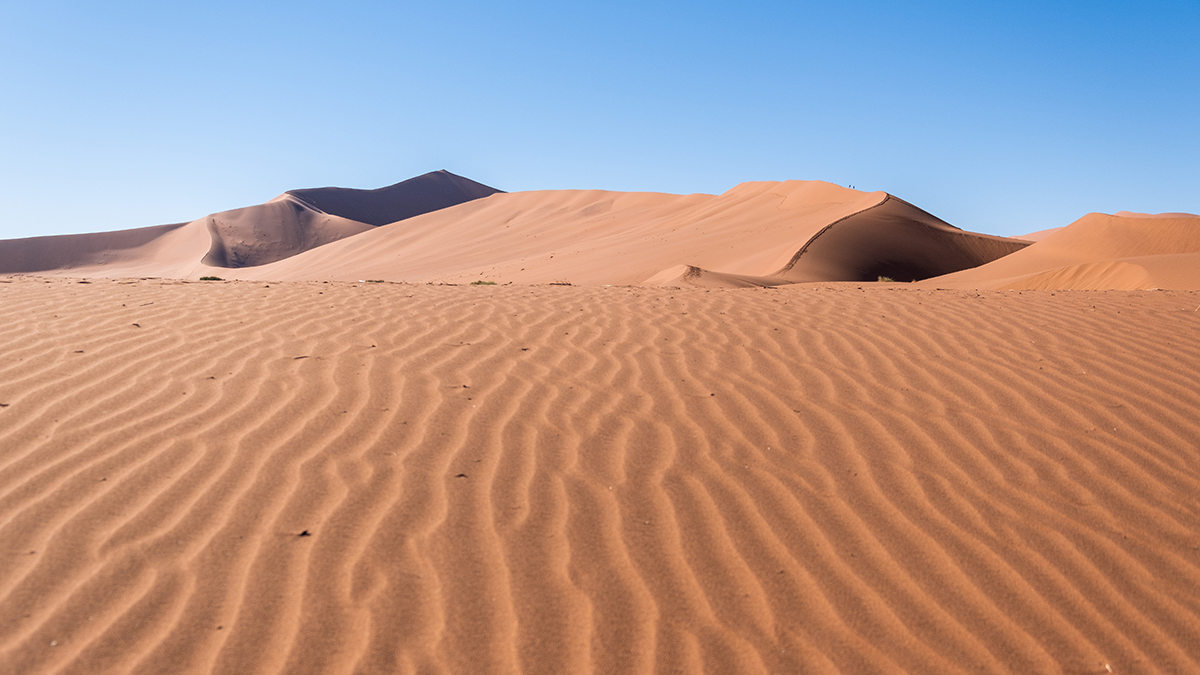 Nature: Жители Сахары были частью уникальной человеческой популяции