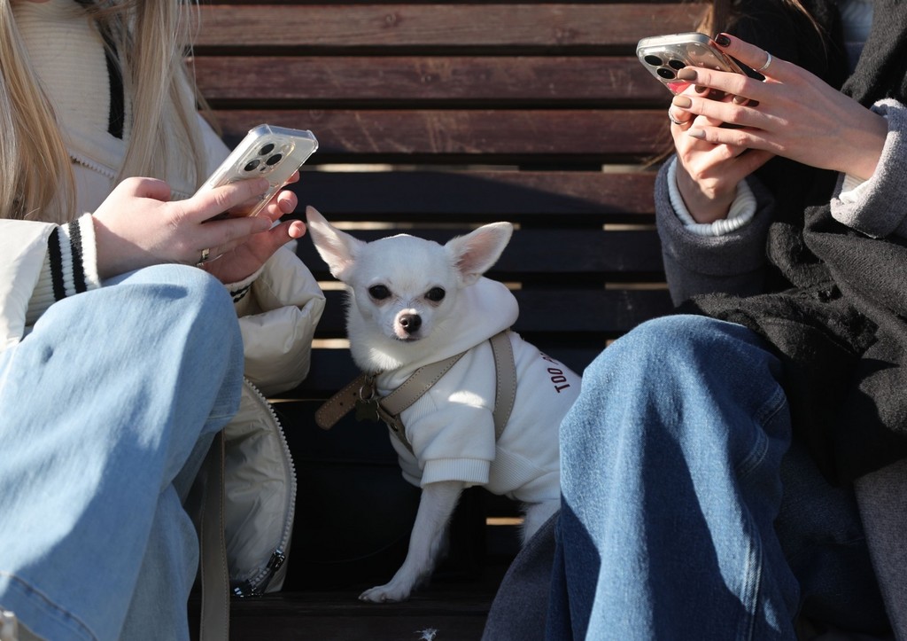 Россиянам дали советы, как подобрать отель и не испортить отдых