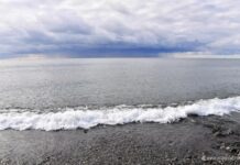 Институт океанологии и Пётр Завьялов сообщают об успехах восстановления Черного моря institut okeanologii i pyotr zavyalov soobshhayut ob uspehah vosstanovleniya chernogo morya-todey-ru-174593805200-0