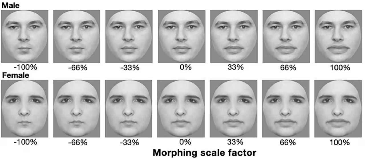 Исследование Сиднейского университета раскрыло идеальный размер губ для красоты-0