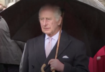 Карл III и Камилла укрепляют культурные связи в Букингемском дворце karl i kamilla ukreplyayut kulturnye svyazi v bukingemskom dvorcze-todey-ru-174446635100-0