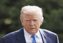 Малек Дудаков анализирует перспективы Дональда Трампа в медиа malek dudakov analiziruet perspektivy donalda trampa v media-todey-ru-174579939500-0