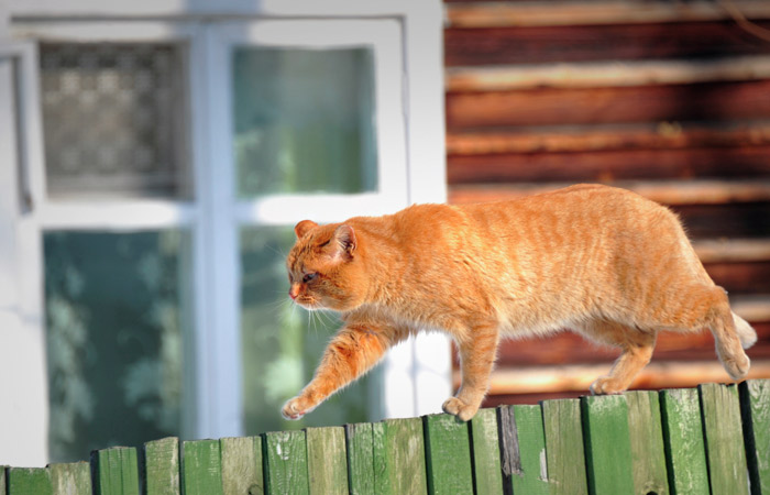 Хуснуллин предложил развивать ИЖС в рамках отдельной программы