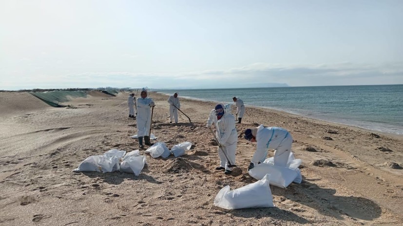 Весь песок с мазутом вывезут с площадки хранения в Анапе до конца мая