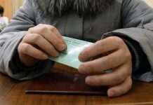 МВД Воронежа расследует мошенничество с СНИЛС и Hyundai Solaris mvd voronezha rassleduet moshennichestvo s snils i -todey-ru-174430850200-0