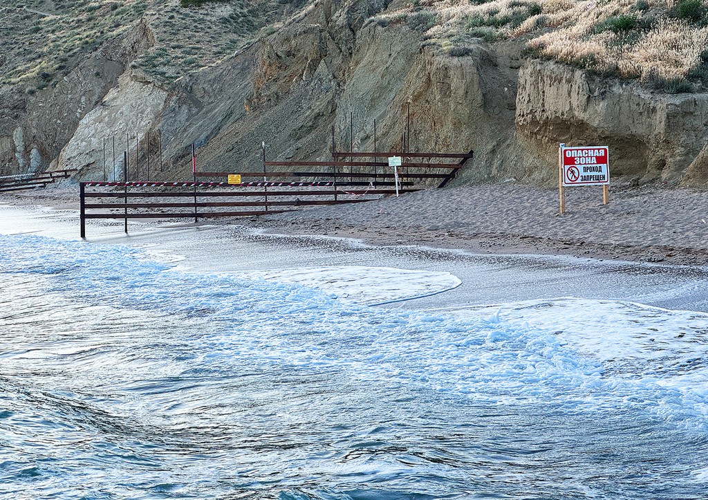 Назван предполагаемый виновник выброса пальмового масла в Черном море