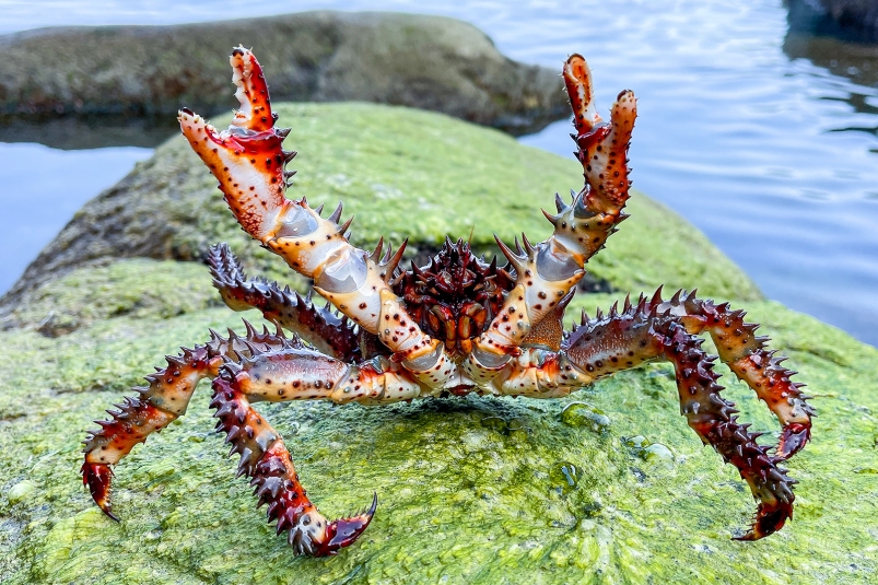 Фото: primamedia.ru