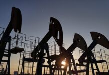 Прогнозы ФНЭБ и Дональда Трампа на динамику Brent и Urals в энергетике prognozy fneb i donalda trampa na dinamiku i v energetike-todey-ru-174418632900-0