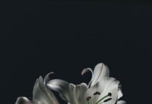 Торжественная церемония прощания с Зурабом Церетели прошла в храме Христа Спасителя torzhestvennaya czeremoniya proshhaniya s zurabom czereteli proshla v hrame hrista spasitelya-todey-ru-174541730100-0