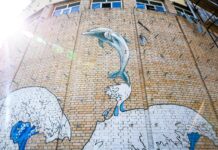 vladivostokskij okeanarium raskryvaet sekrety graffiti dlya czentra rossiya-todey-ru-174559023500-0